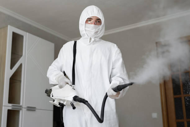 Reliable Wernersville, PA Mold Removal Solutions